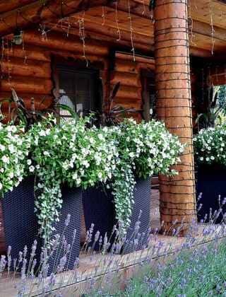 Nuošali vieta jūsų šventėms gamtoje