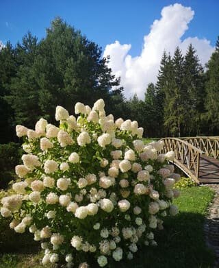 Sodyba gamtos apsuptyje