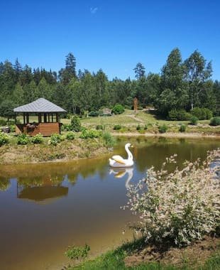 Tvenkiniai ir nuostabūs gėlynai