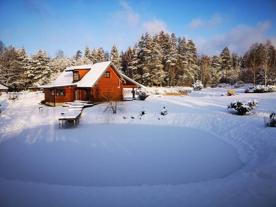 Užšalęs tvenkinys žiemą